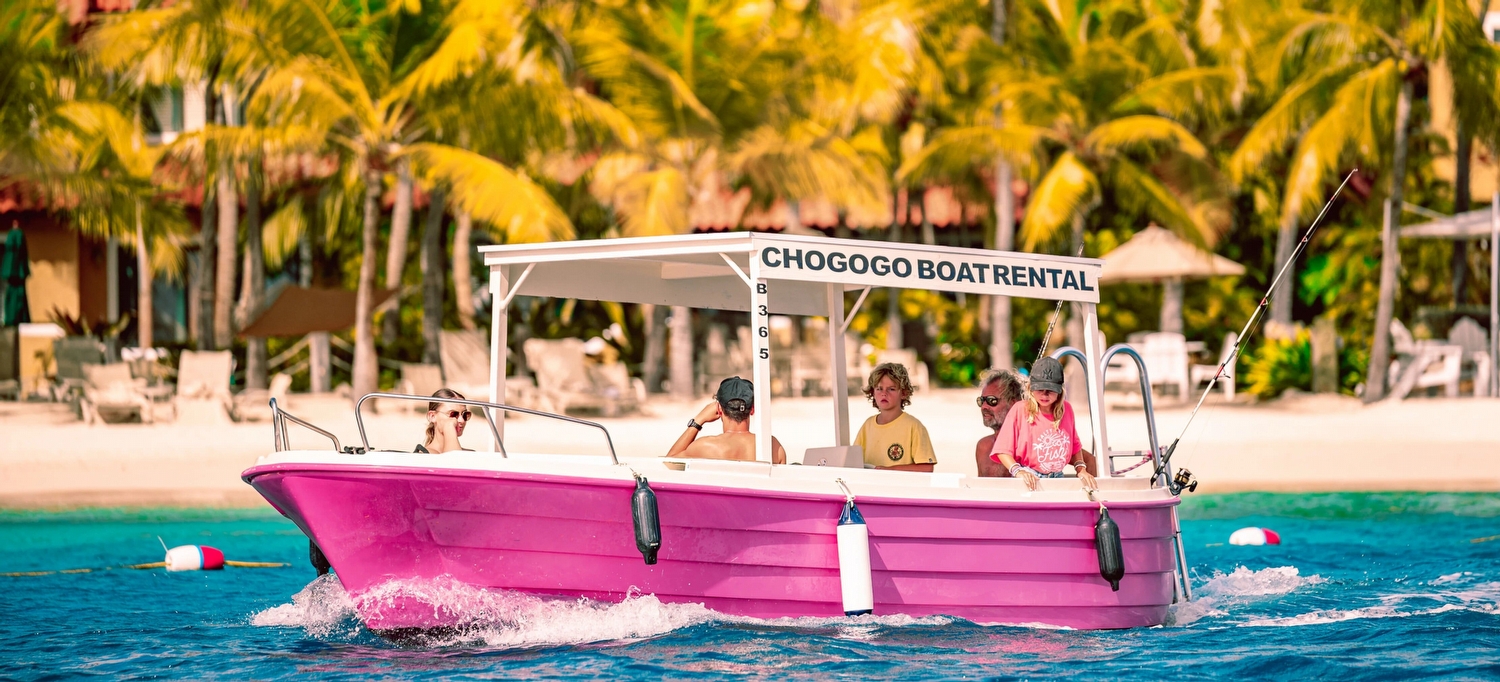 Bonaire Activities - chogogo_default_2