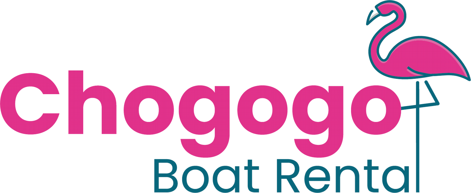 Snorkelen op Bonaire - chogogo_boat_rental_logo